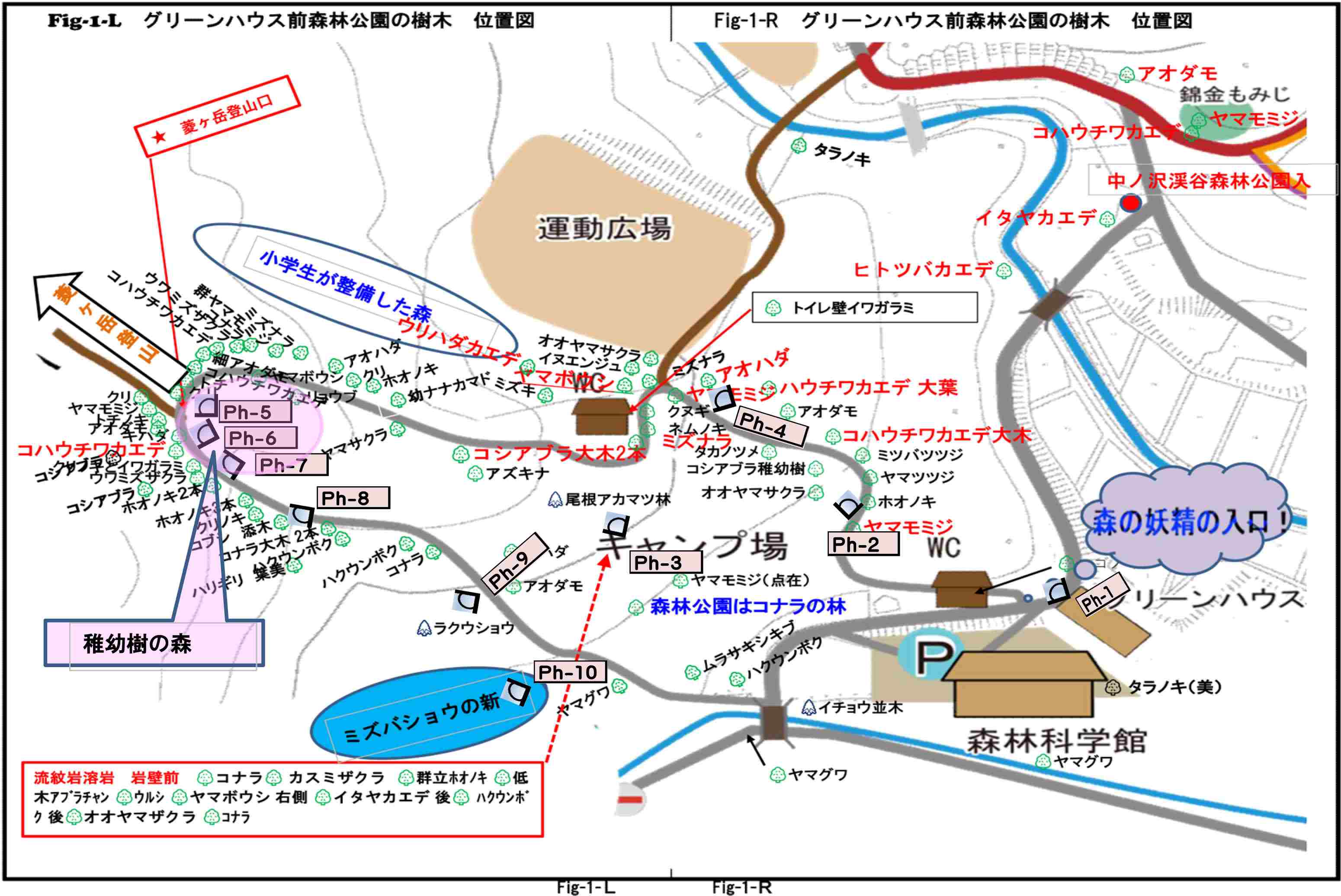  �O���[���n�E�X�O�X�ь������؈ʒu